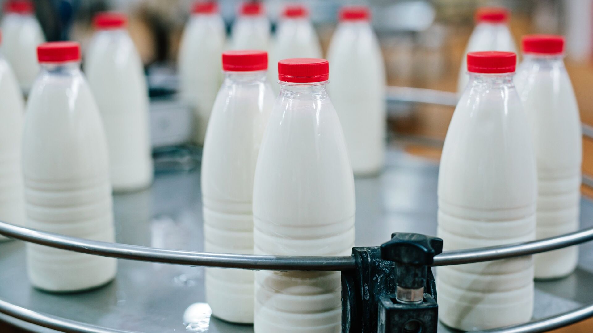 В Тбилиси изъяли 6 тонн просроченной и бракованной молочной продукции ...